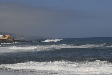 Teneriffa,Palmen,Meer,Blüten