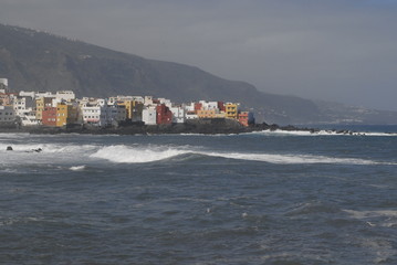 Teneriffa,Palmen,Meer,Blüten