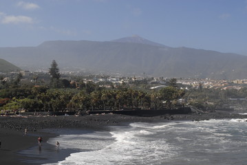 Teneriffa,Palmen,Meer,Blüten