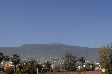 Teneriffa Planzenwelt,Natur,Reisen,Teide