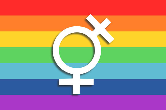 Orgullosos 