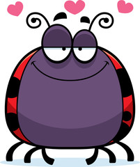 Little Ladybug in Love