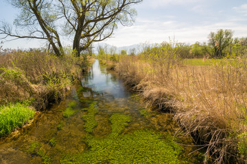 Achendelta am Chiemsee in Bayern, Deutschland