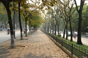 Peaceful and colorful lined trees path in the changing time of season in Hanoi, Vietnam, Asia