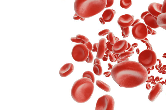 Red blood cells in vein or artery, flow inside inside a living organism, 3d rendering isolated on white background