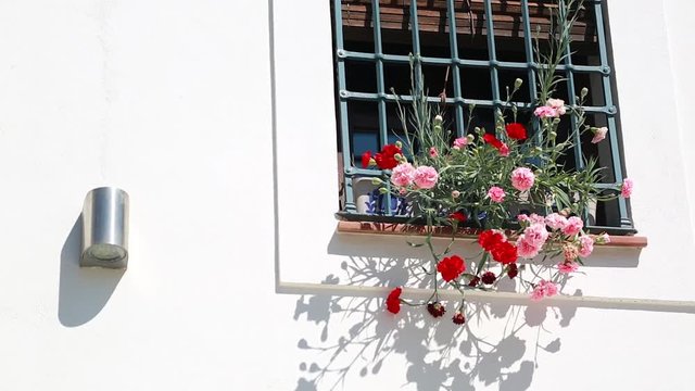 Flowerpots And Colorful Flowers On A White Wall In Granada (Andalusia) In Spain - HD Video
