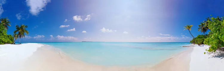 Zelfklevend Fotobehang Eiland Panorama of Beach at Maldives island Fulhadhoo with white sandy idyllic perfect beach and sea and curve palm
