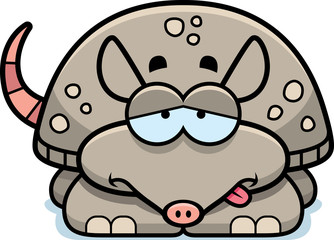 Sick Little Armadillo