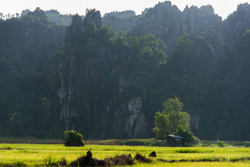  Limestone mountain at Noen Maprang district of Phitsanulok Province, northern Thailand