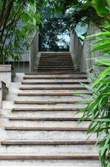 Concrete and wood staircase