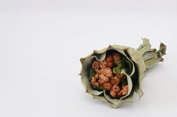 A bouquet of dried flowers on white background