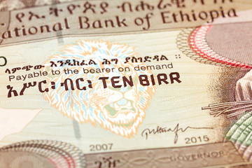 10 ethiopian birr note obverse detail