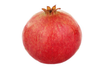 pomegranate isolated