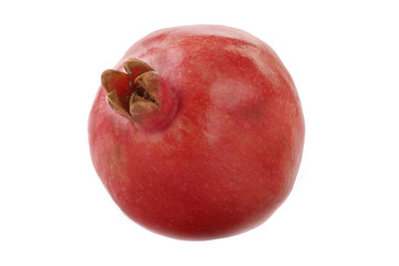 pomegranate isolated