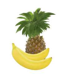 pineapple and bananas isolated on white