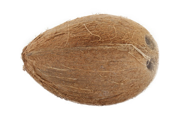 coconut isolated on white background