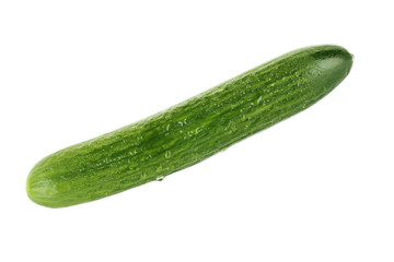 cucumber isolated