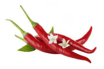 heap of red chili pepper  with leaves and flowers isolated