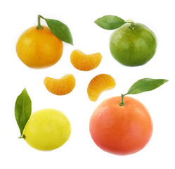 set of citrus isolated on white background