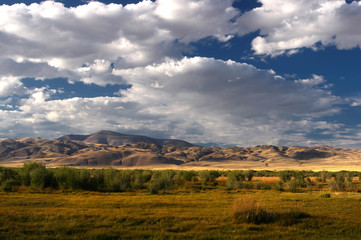 Obraz premium Desert wild mountain plateau with the orange yellow dry grass at the background of the hills under a sunset blue sky with white clouds, Chuya steppe Altai, Siberia, Russia