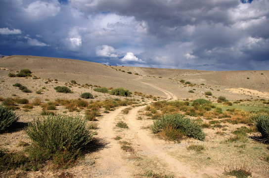 Road path on a desert wild mountain plateau orange yellow dry bush grass at the background of the stone hills under a blue sky white clouds, Kosh-Agach, Chuya steppe Altai Mountains, Siberia, Russia