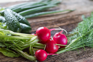 fresh vegetables, radishes, dill, cucumber, onion, cabbage on a wooden background