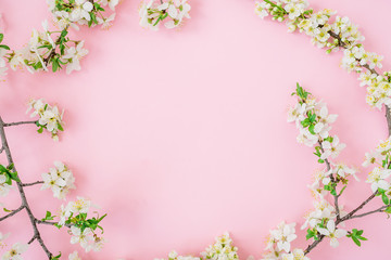 Spring time background. Floral frame of spring white flowers on pink background. Flat lay, top view.