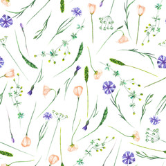 Seamless pattern with wildflowers, eustoma and cornflowers, hand drawn in watercolor on a white background