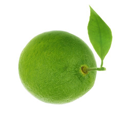fresh lime isolated