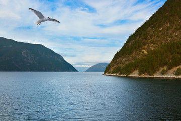 Fototapeta na wymiar Fjord Sognefjord - Norway