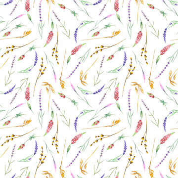 Seamless pattern with yellow dry wildflowers, lupine and lavender flowers, hand drawn in watercolor on a white background
