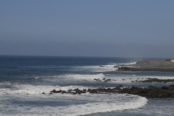 Teneriffa,Palmen,Meer,Blühten