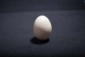 Egg standing on egg cup, isolated on white background