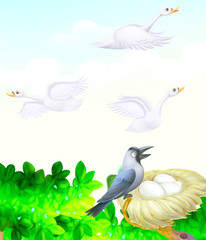 Obraz premium spaw and pigeon