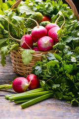 Harvest Vegetables: sadishes, tomatoes, cucumbers, parsley,  onion, arugula at the basket on the wooden background