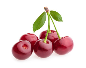 cherry isolated