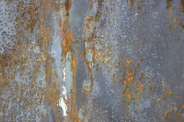 old painted rusty iron sheet