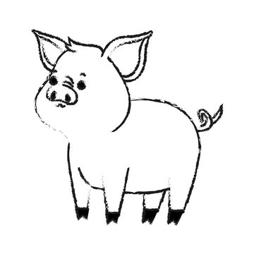 pig cute animal cartoon icon image vector illustration design  black sketch line