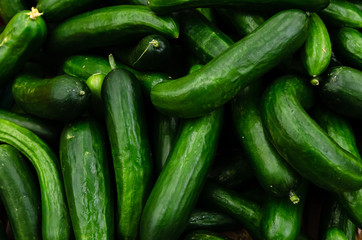 Fresh organic cucumbers sold on market