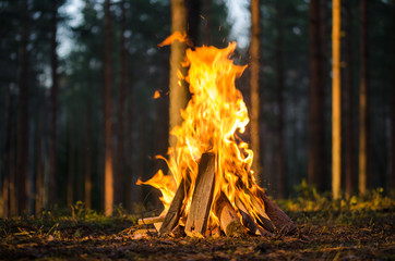 Bonfire in the forest - 144358341