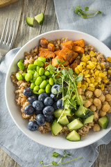 Raw Organic Healthy Buddha Bowl