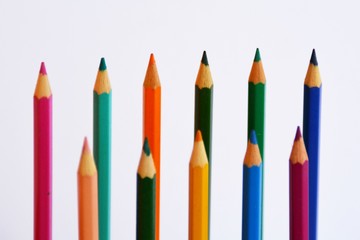 Colored pencils in a row in front of a white background