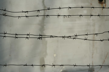 Barbed wire concrete wall. fence
