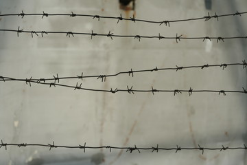 Barbed wire concrete wall. fence