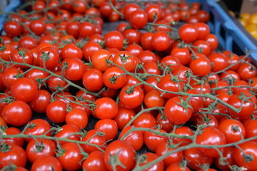 Albert Cuyp Markt in Amsterdam