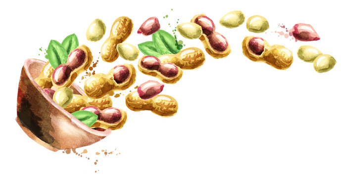 Bowl with peanuts. Hand drawn horisontal watercolor