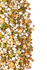 italian minestrone soup mixture