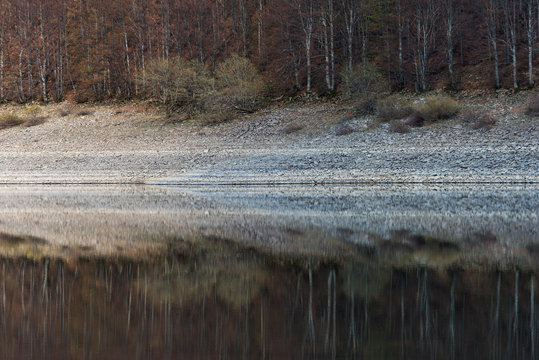 Alberi specchiati nel Lago paduli