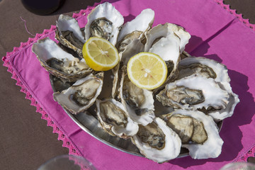 oysters on the table