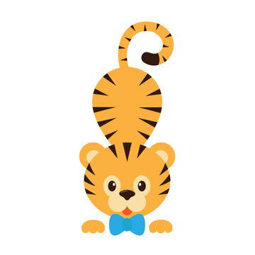 cartoon tiger vector with tie